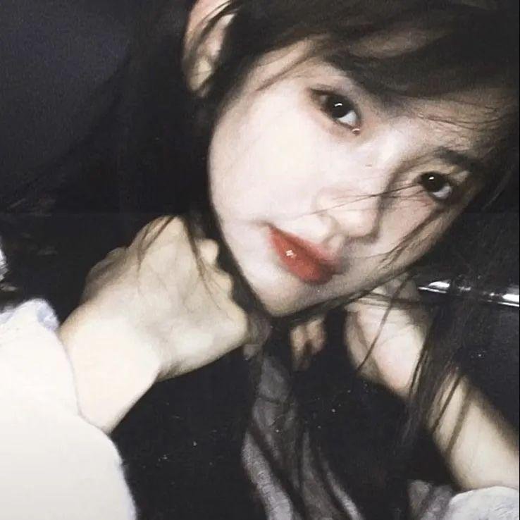 灵通汪星人